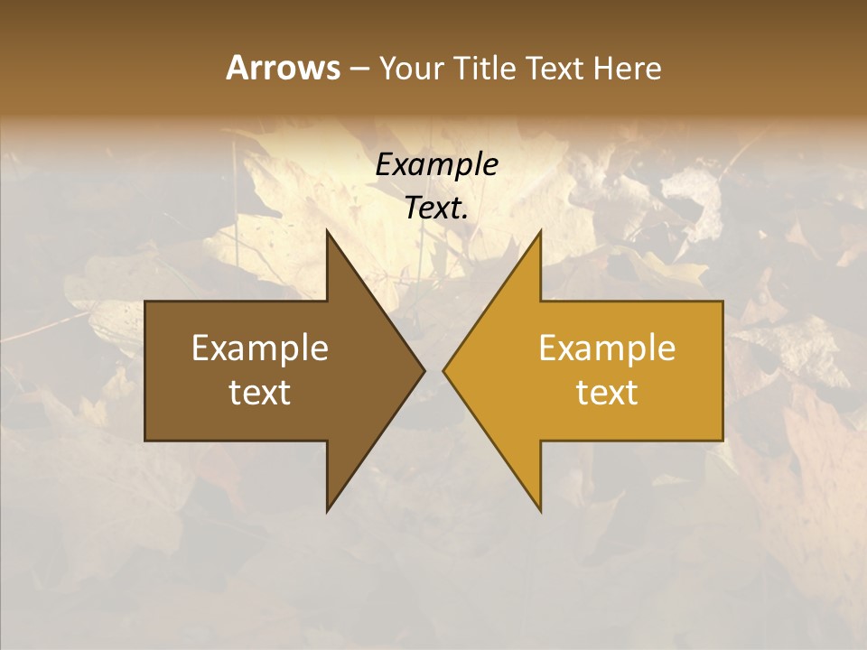 Green Orange Season PowerPoint Template