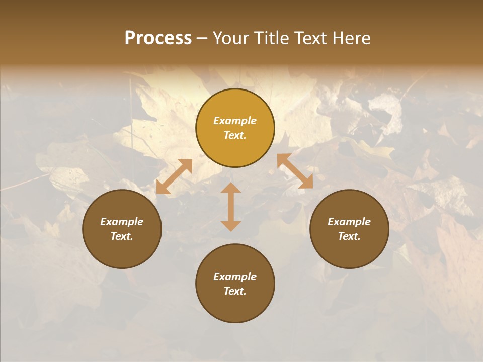 Green Orange Season PowerPoint Template