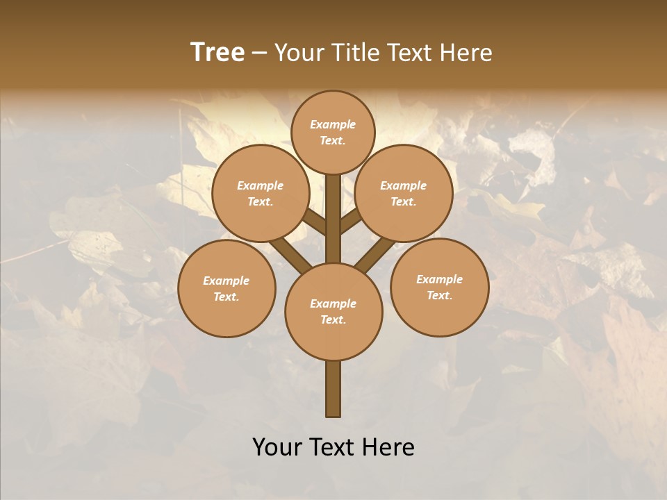 Green Orange Season PowerPoint Template