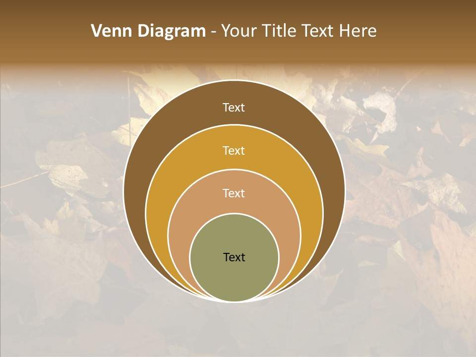 Green Orange Season PowerPoint Template