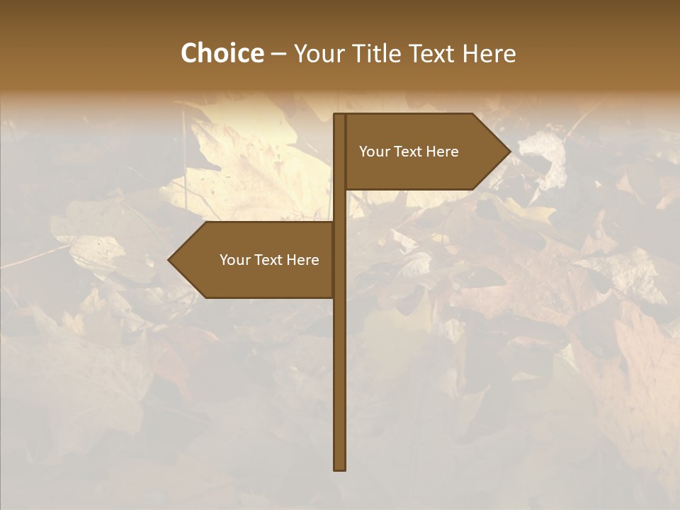 Green Orange Season PowerPoint Template