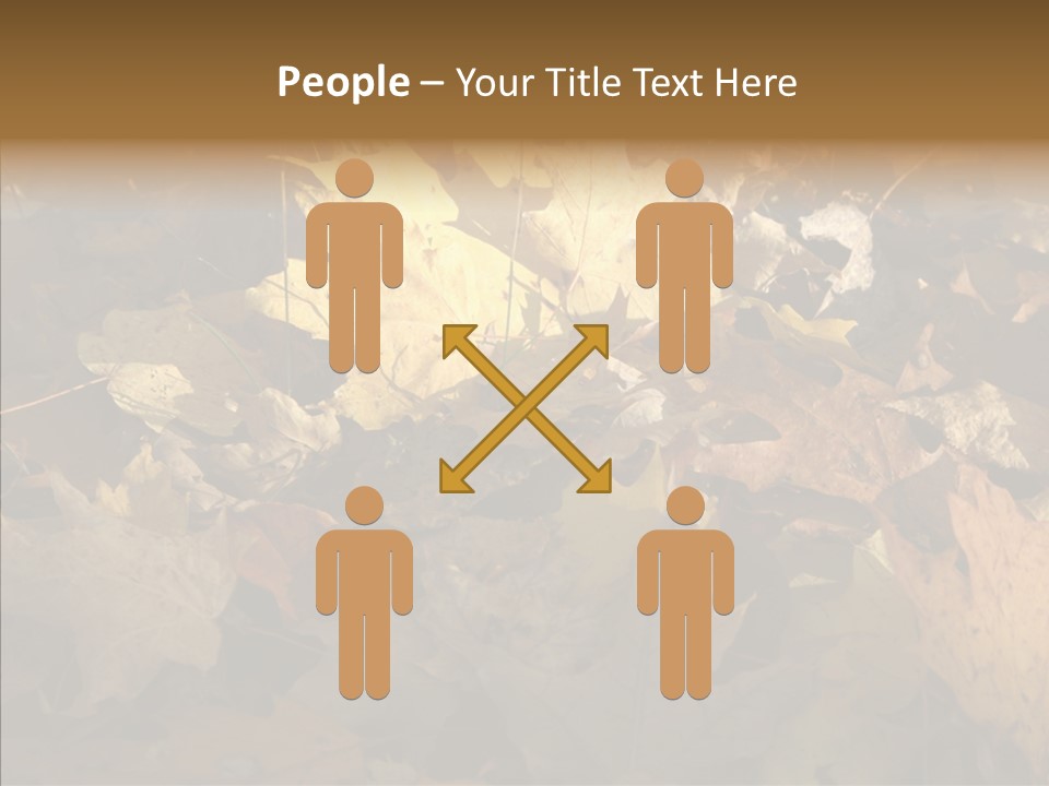 Green Orange Season PowerPoint Template