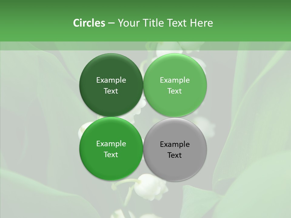 Close Mayflower Green PowerPoint Template