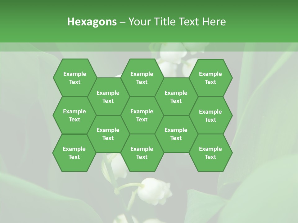 Close Mayflower Green PowerPoint Template