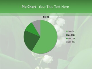 Close Mayflower Green PowerPoint Template