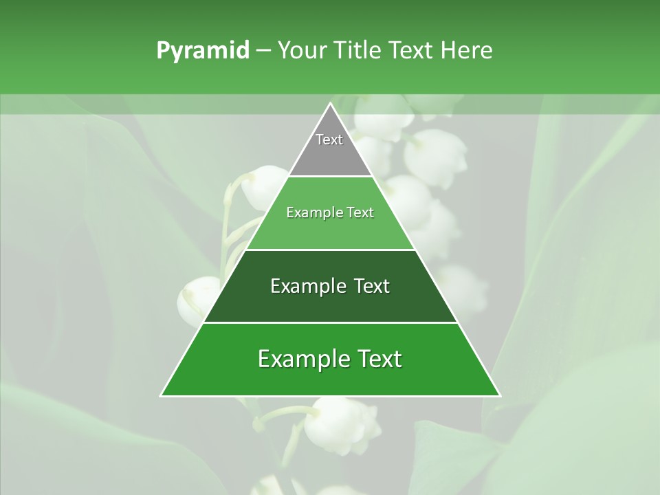 Close Mayflower Green PowerPoint Template