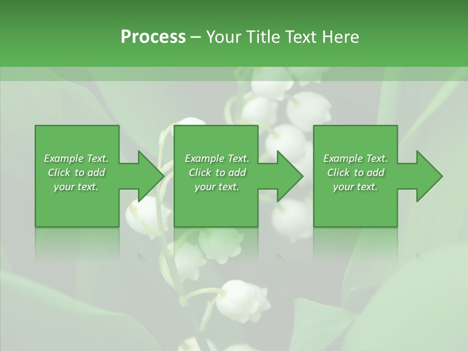 Close Mayflower Green PowerPoint Template