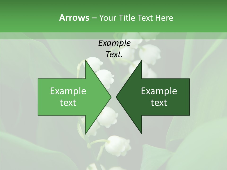 Close Mayflower Green PowerPoint Template