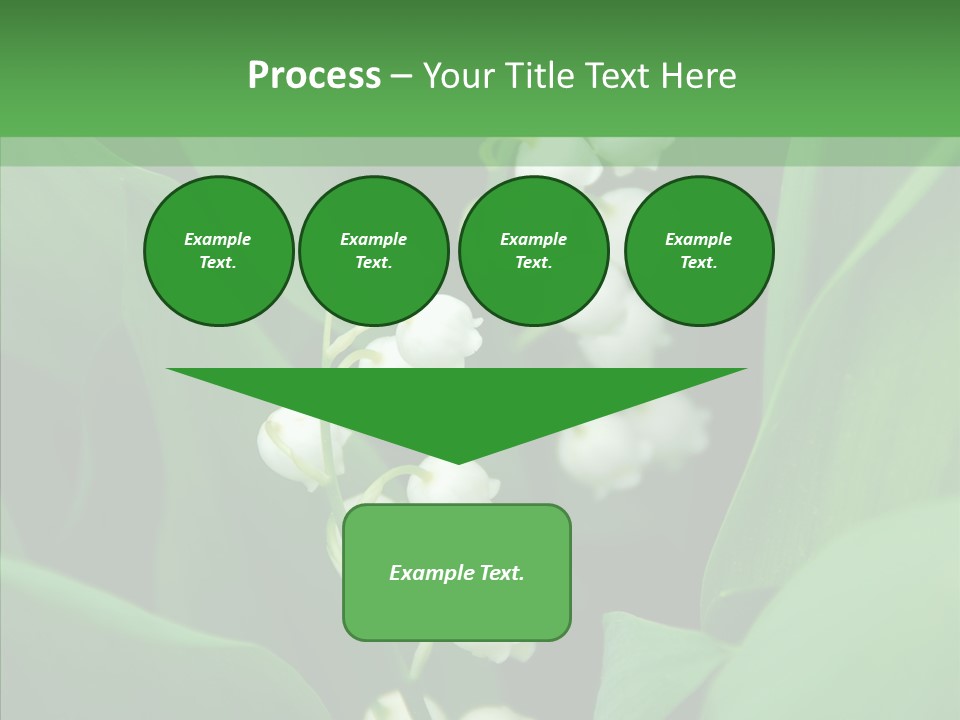 Close Mayflower Green PowerPoint Template