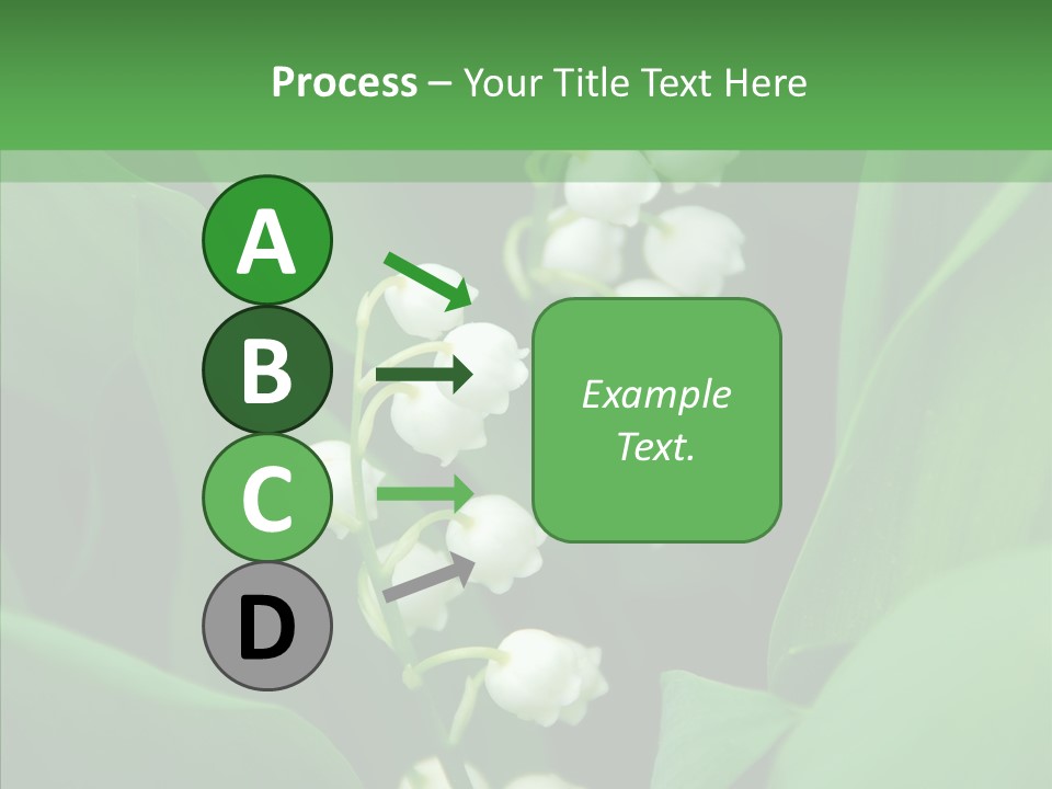 Close Mayflower Green PowerPoint Template
