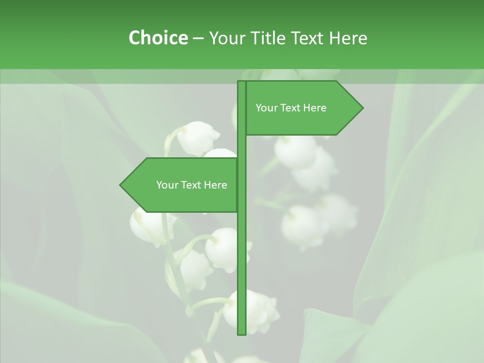 Close Mayflower Green PowerPoint Template