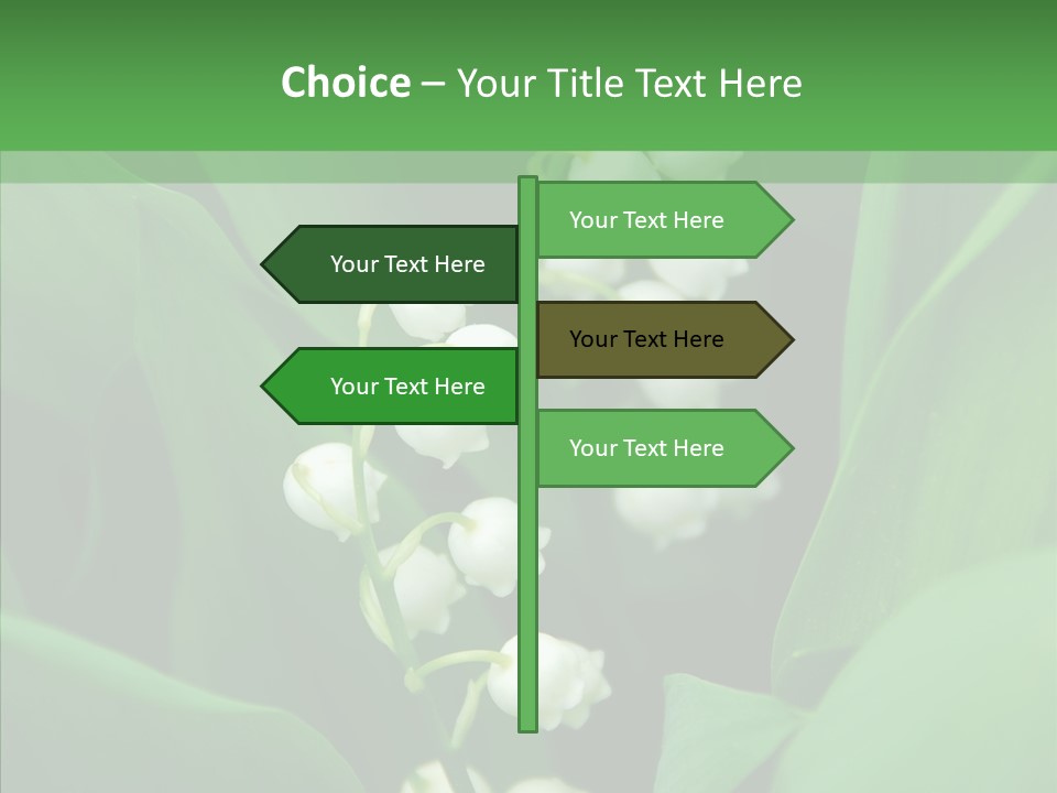 Close Mayflower Green PowerPoint Template