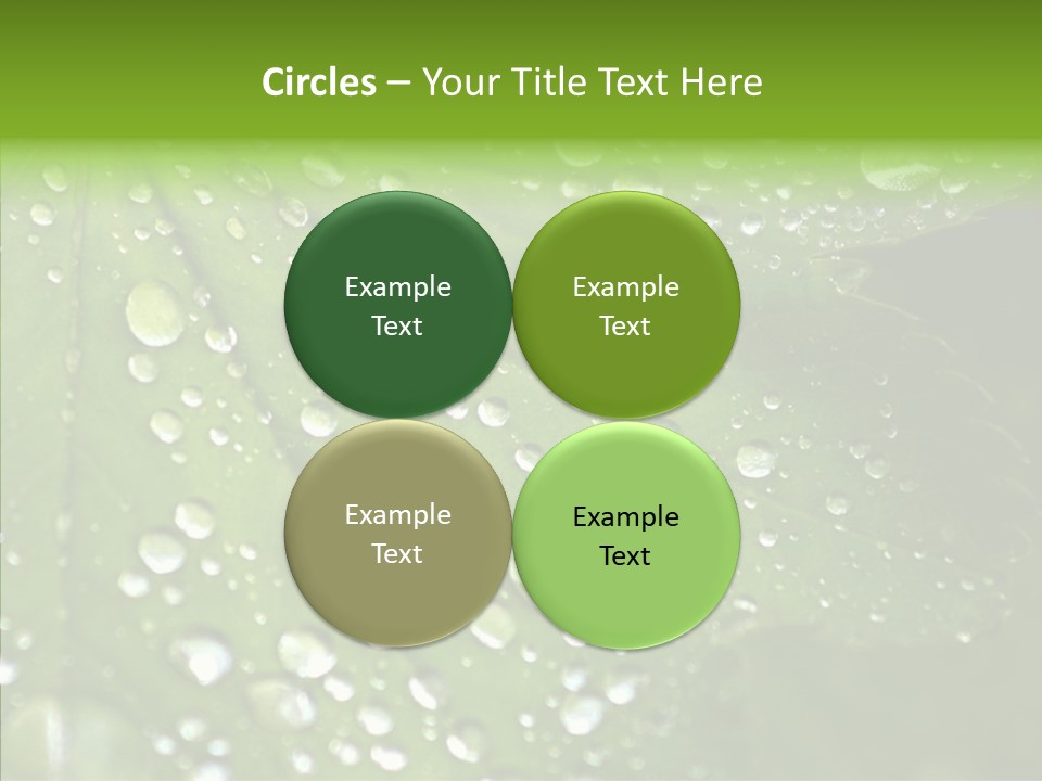 Clear Plant Bubble PowerPoint Template