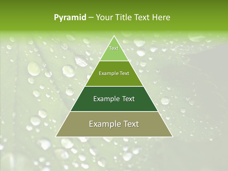 Clear Plant Bubble PowerPoint Template