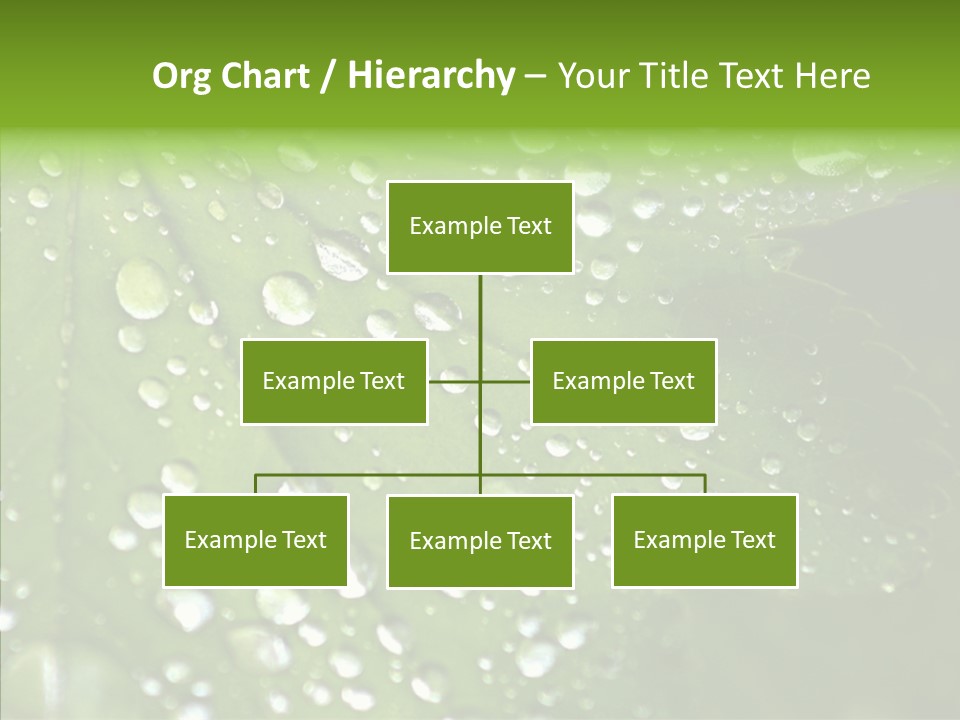 Clear Plant Bubble PowerPoint Template