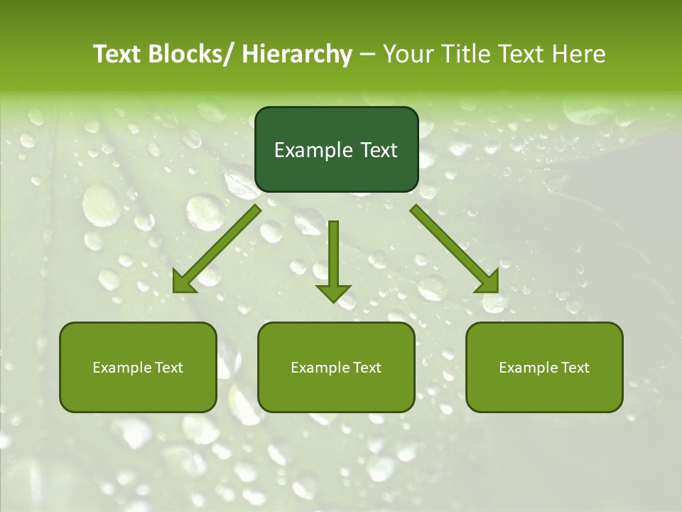 Clear Plant Bubble PowerPoint Template