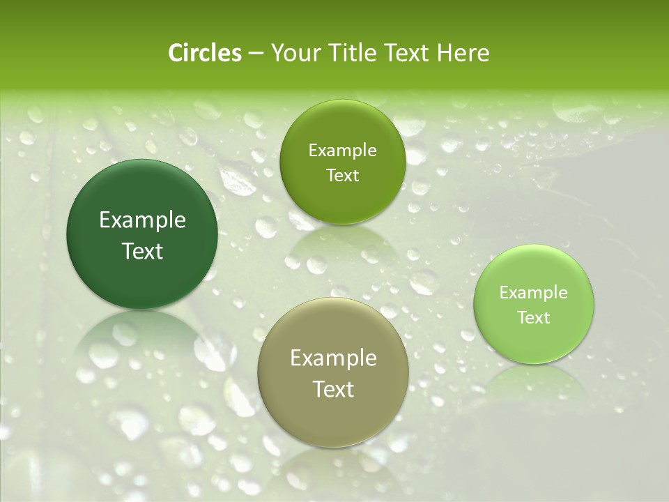 Clear Plant Bubble PowerPoint Template