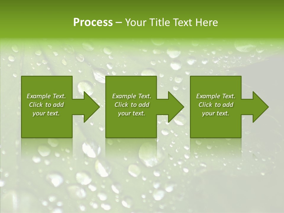 Clear Plant Bubble PowerPoint Template
