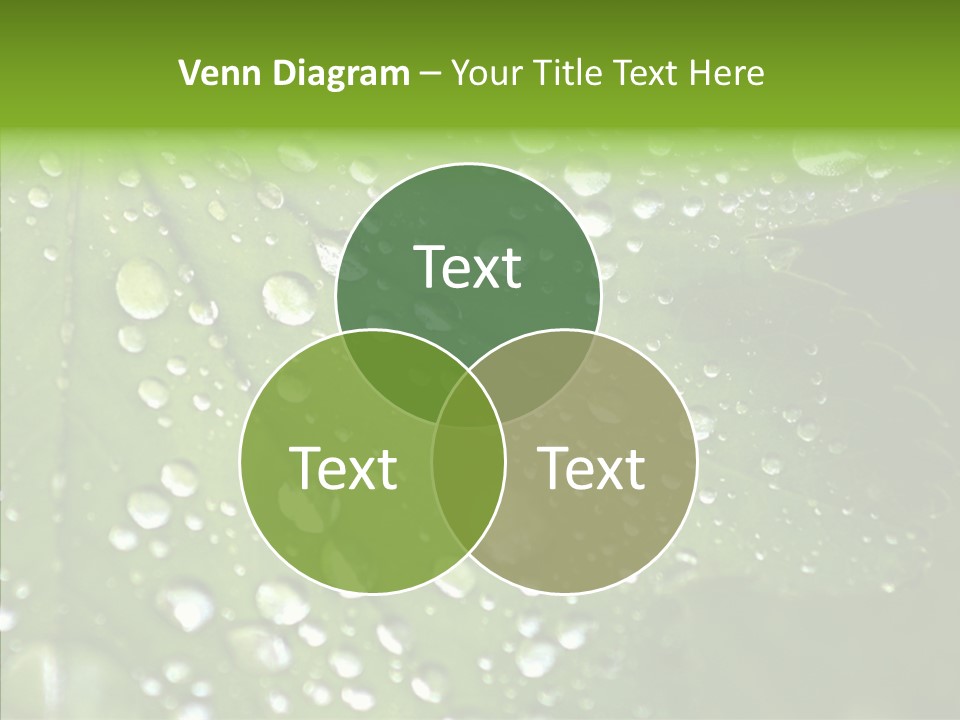 Clear Plant Bubble PowerPoint Template