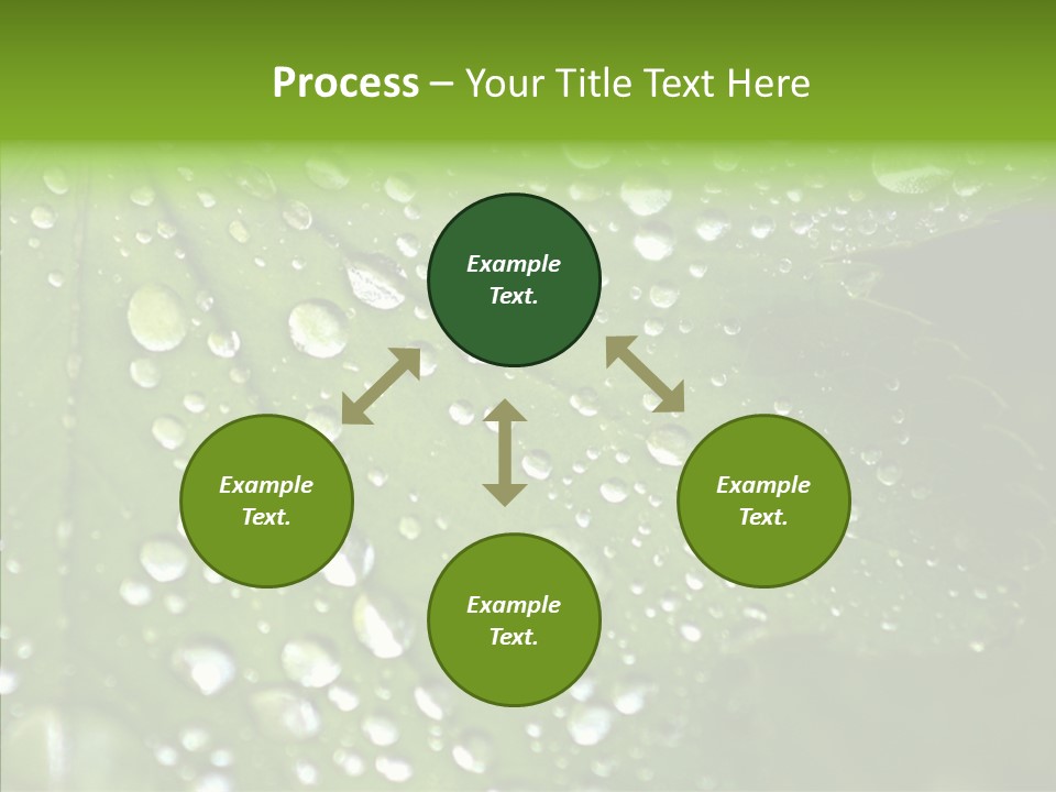 Clear Plant Bubble PowerPoint Template