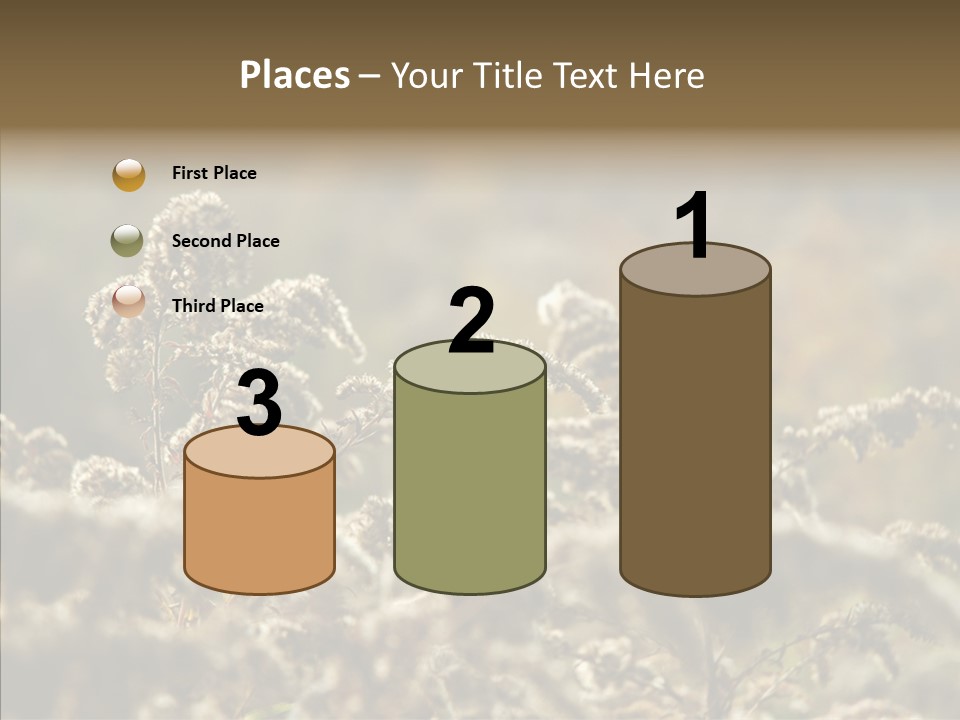 Grass Day Shadow PowerPoint Template