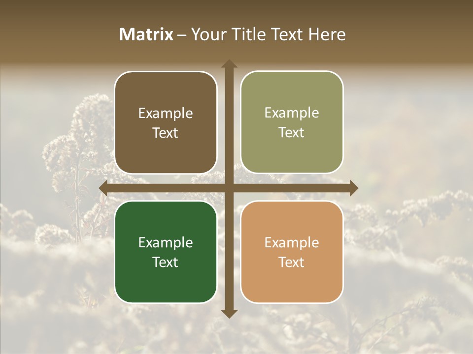 Grass Day Shadow PowerPoint Template