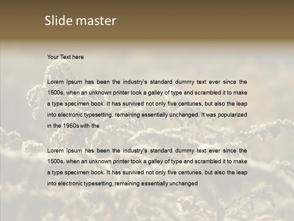 Grass Day Shadow PowerPoint Template