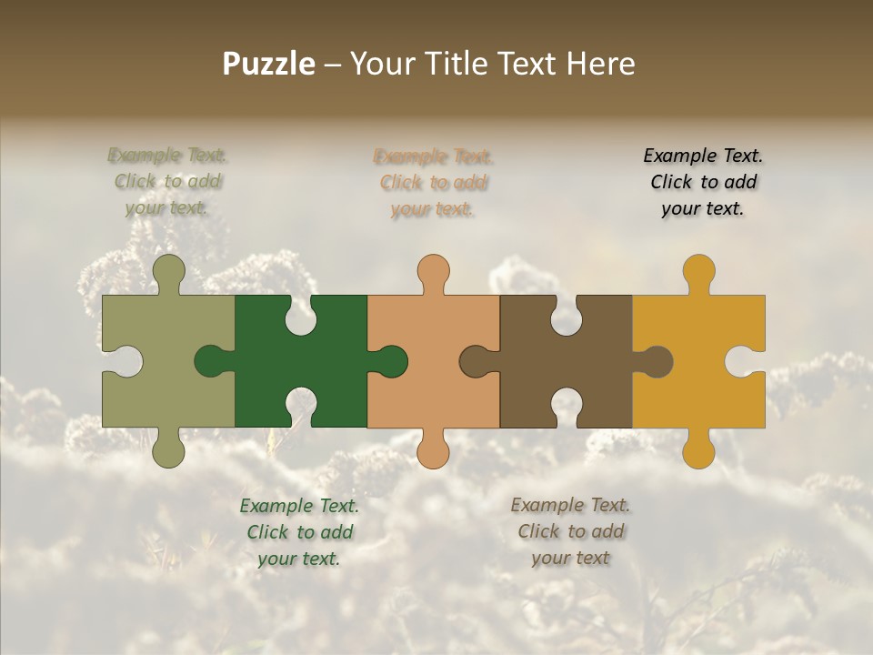 Grass Day Shadow PowerPoint Template