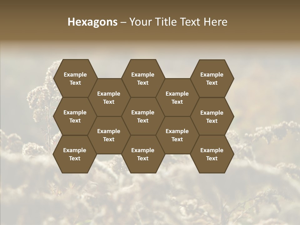 Grass Day Shadow PowerPoint Template