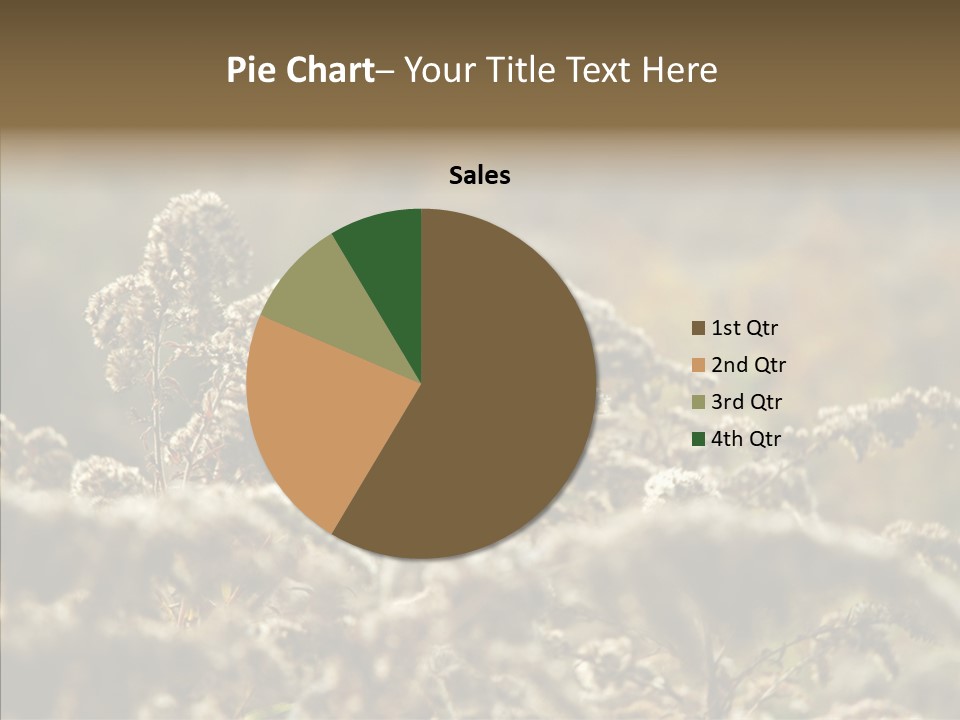 Grass Day Shadow PowerPoint Template