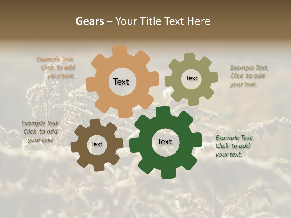 Grass Day Shadow PowerPoint Template