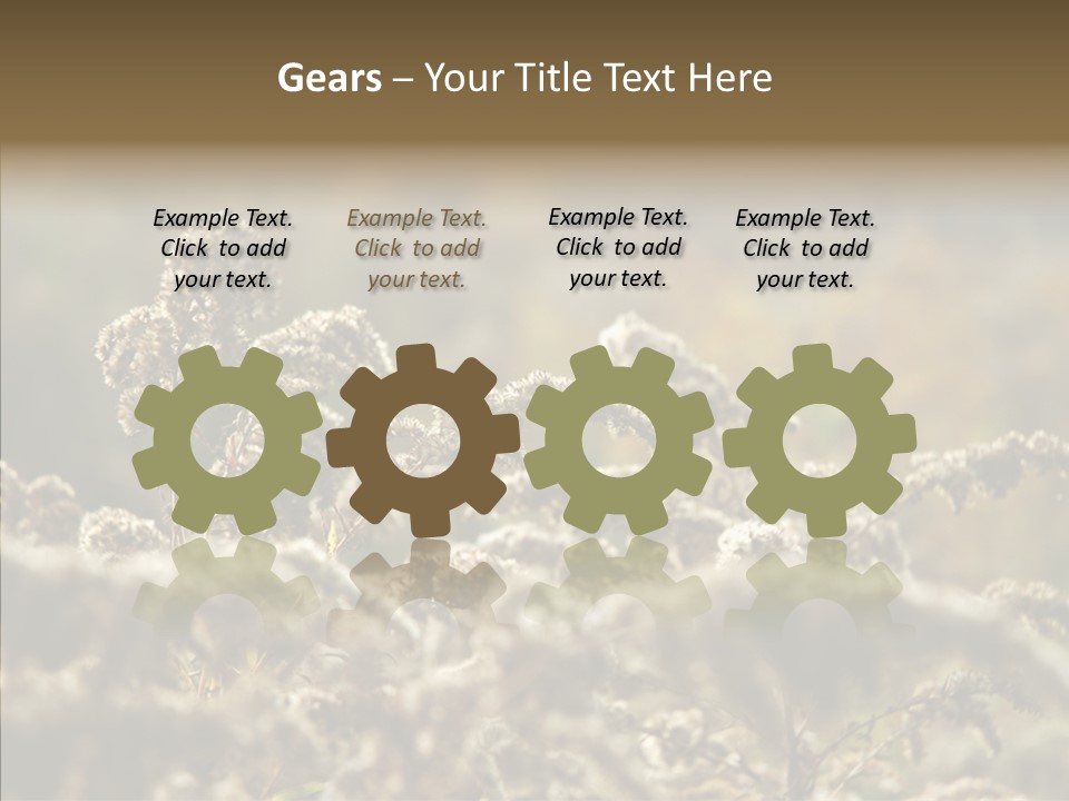 Grass Day Shadow PowerPoint Template