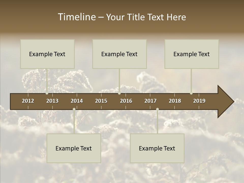 Grass Day Shadow PowerPoint Template