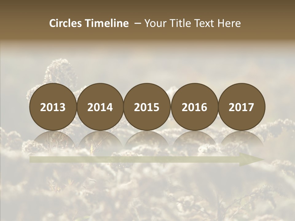 Grass Day Shadow PowerPoint Template