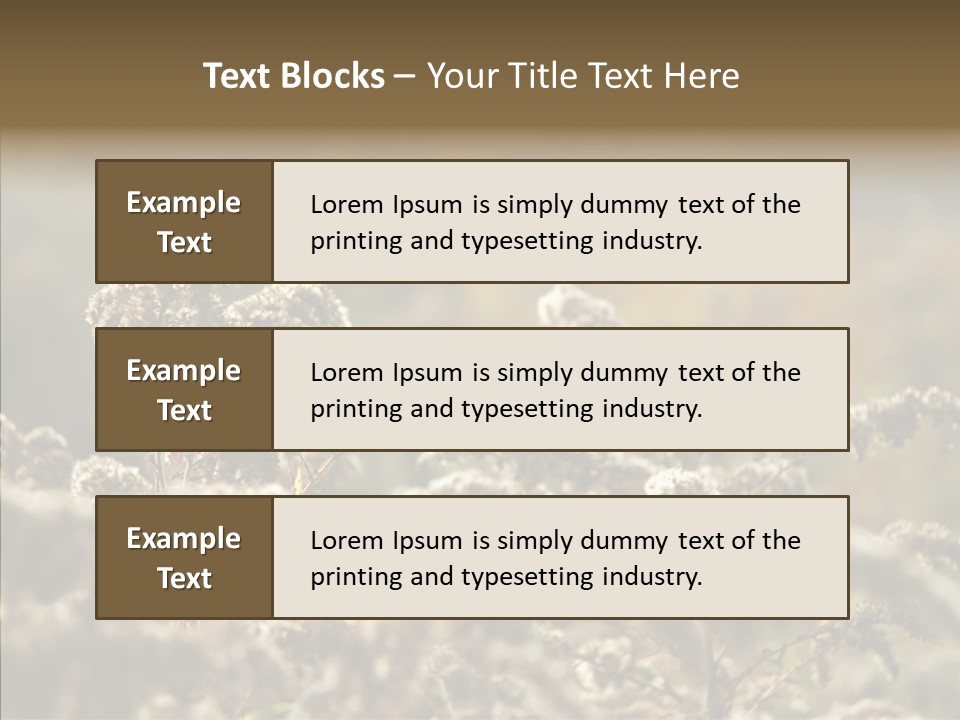 Grass Day Shadow PowerPoint Template