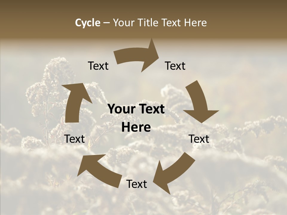 Grass Day Shadow PowerPoint Template