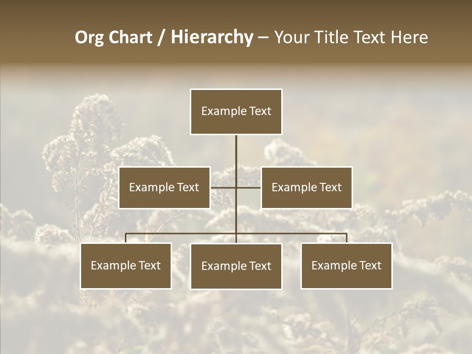 Grass Day Shadow PowerPoint Template