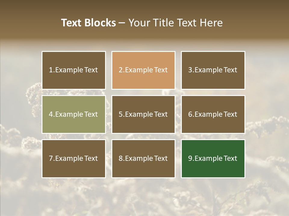 Grass Day Shadow PowerPoint Template