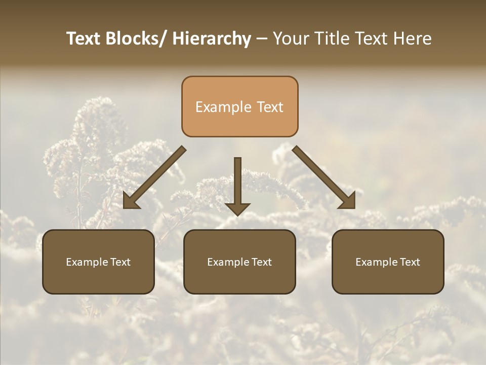 Grass Day Shadow PowerPoint Template