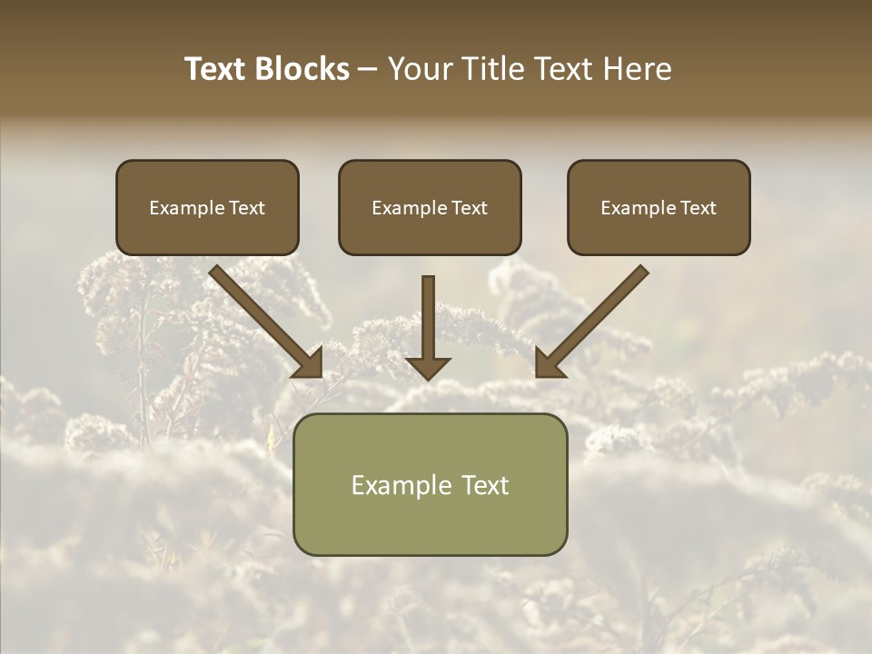 Grass Day Shadow PowerPoint Template