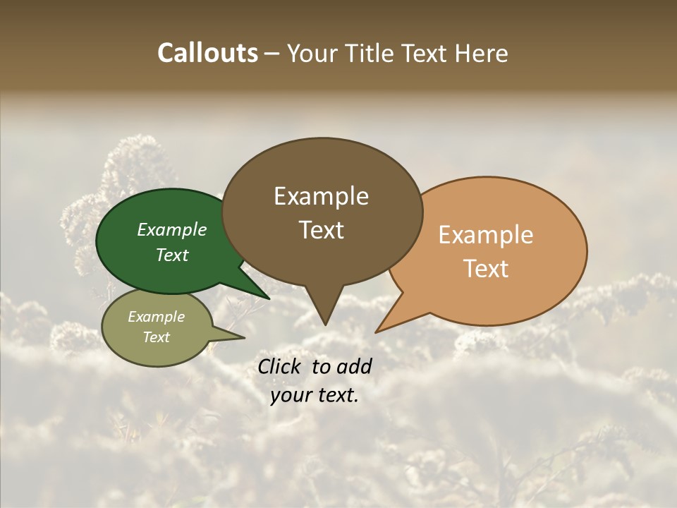 Grass Day Shadow PowerPoint Template