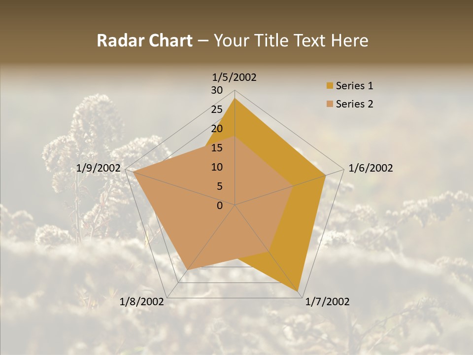 Grass Day Shadow PowerPoint Template