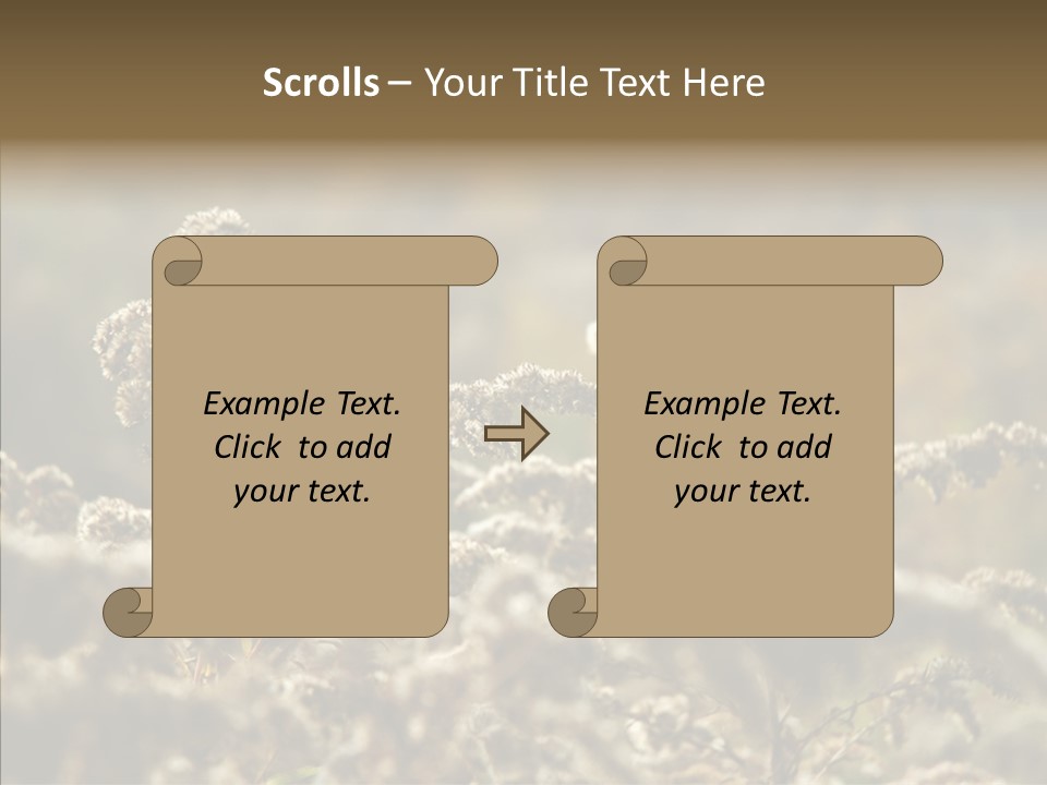 Grass Day Shadow PowerPoint Template