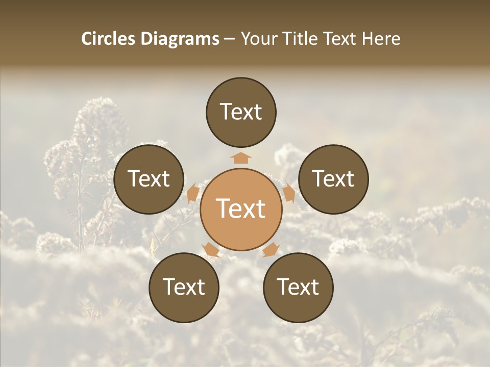 Grass Day Shadow PowerPoint Template