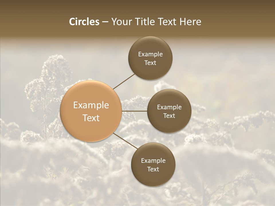 Grass Day Shadow PowerPoint Template