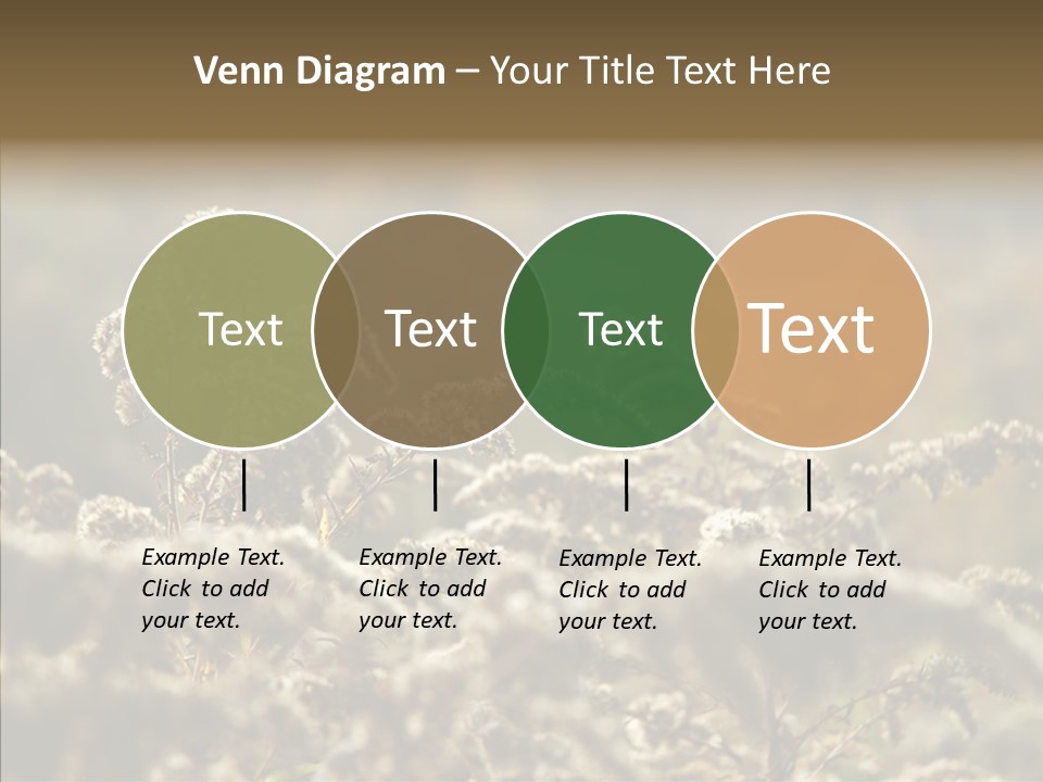 Grass Day Shadow PowerPoint Template