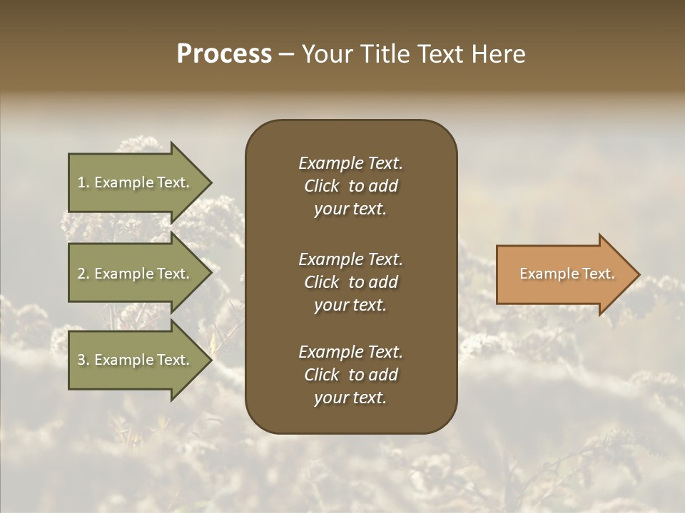 Grass Day Shadow PowerPoint Template