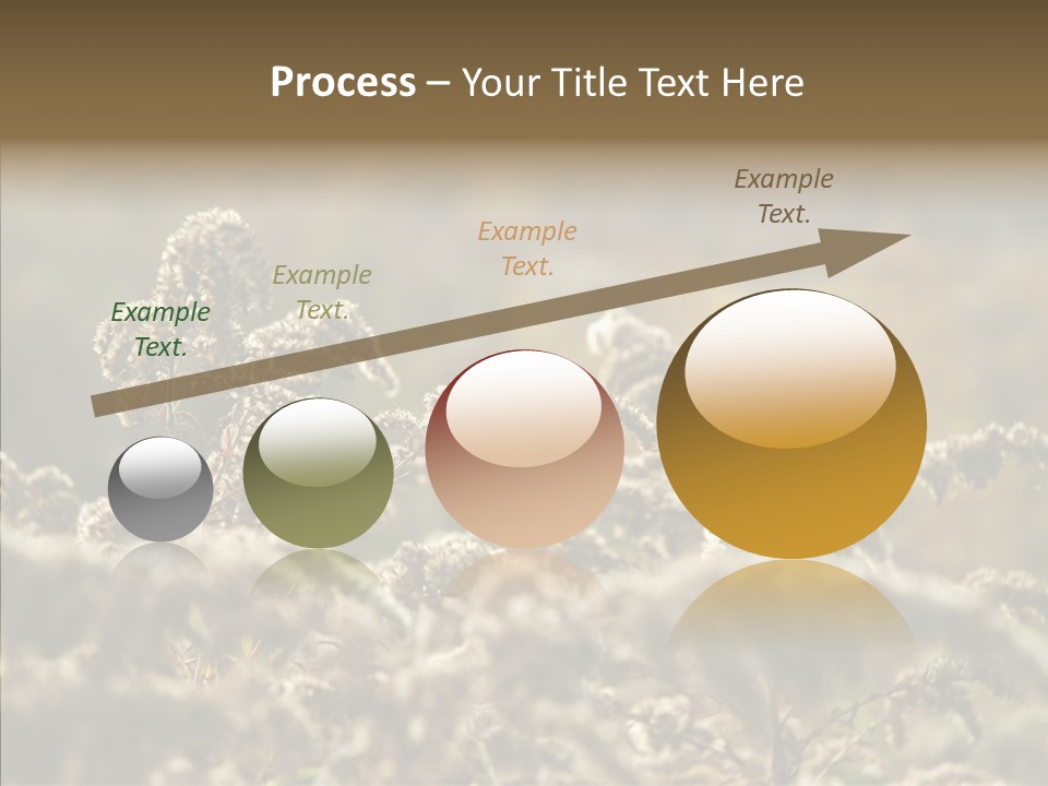 Grass Day Shadow PowerPoint Template