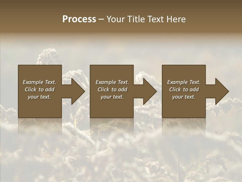 Grass Day Shadow PowerPoint Template