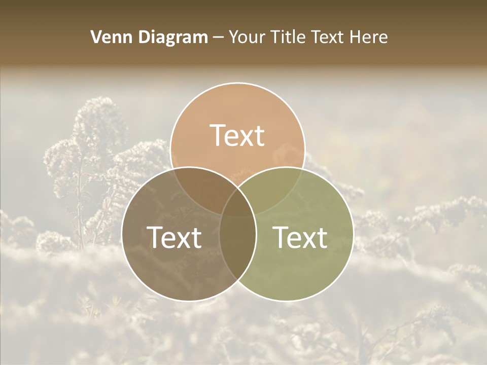 Grass Day Shadow PowerPoint Template